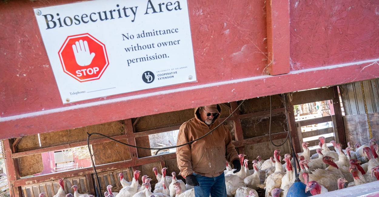 Former CDC Chief Warns Bird Flu Could Be ‘More Catastrophic Than COVID’