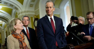 John Thune addresses the media.