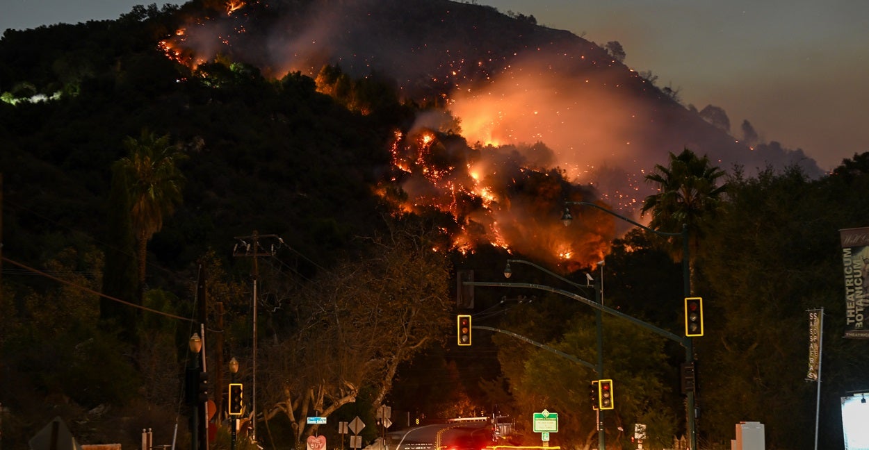 California’s Politicians Didn’t Start the Fires, They Made Them Worse