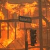 A Sunset Boulevard street sign hangs near a traffic light as a raging fire goes on behind.