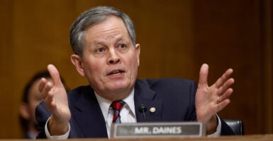 Sen. Steve Daines at a committee hearing