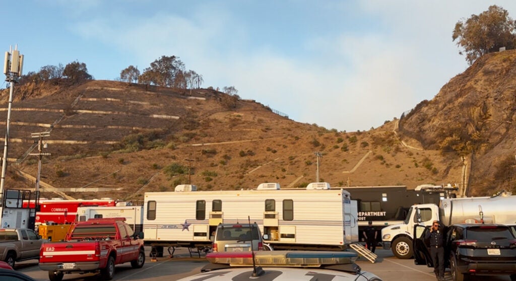 Houses in the hills of the Palisades were destroyed by the California wildfires.