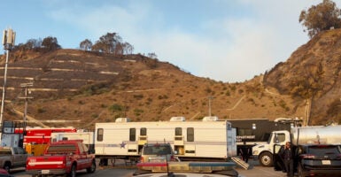 Houses in the hills of the Palisades were destroyed by the California wildfires.