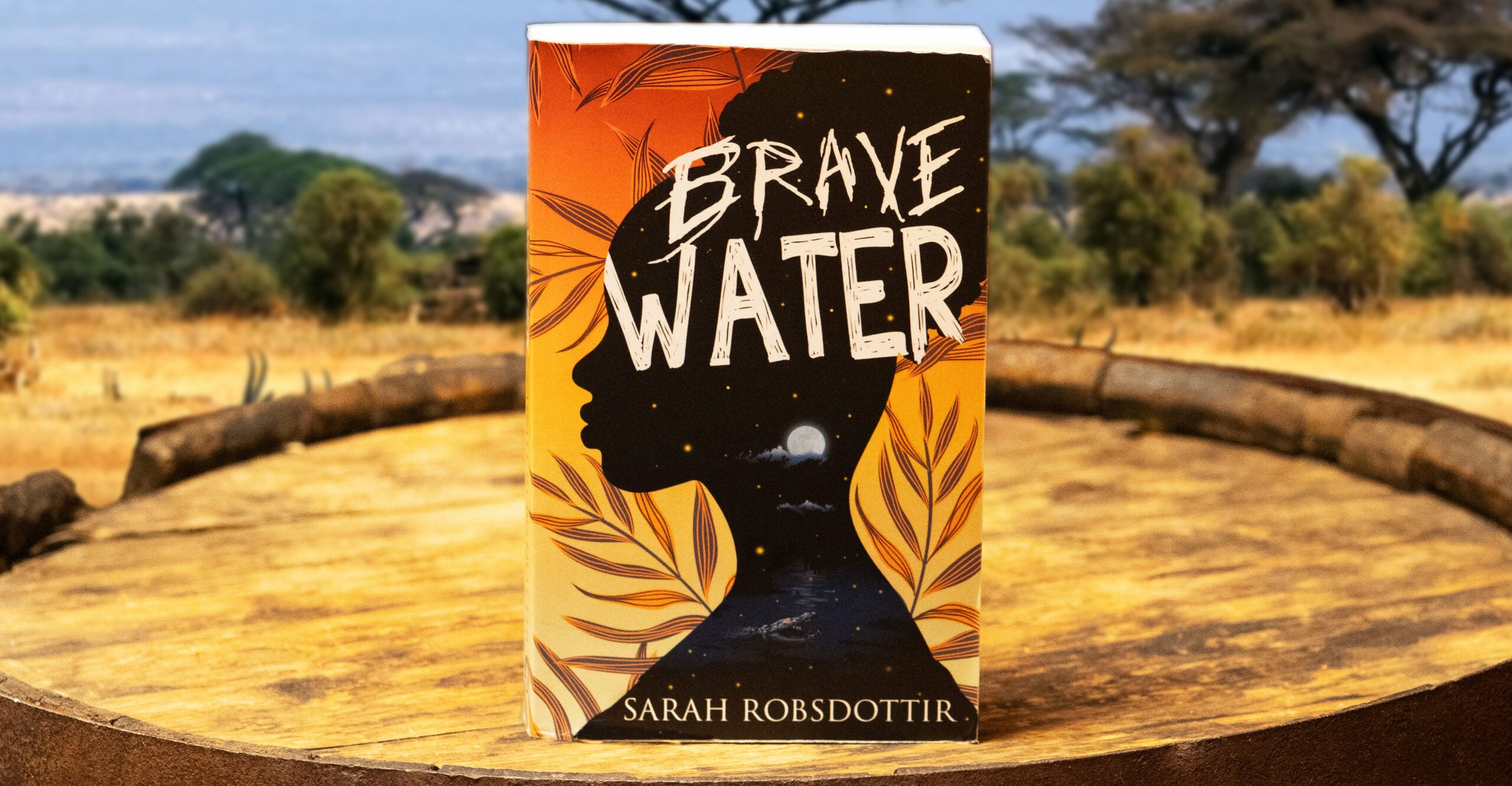 NextImg:New Young Adult Novel 'Brave Water' Highlights Themes of Courage and Faith