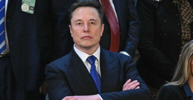 Elon Musk in a suit with a blue tie stands resolute