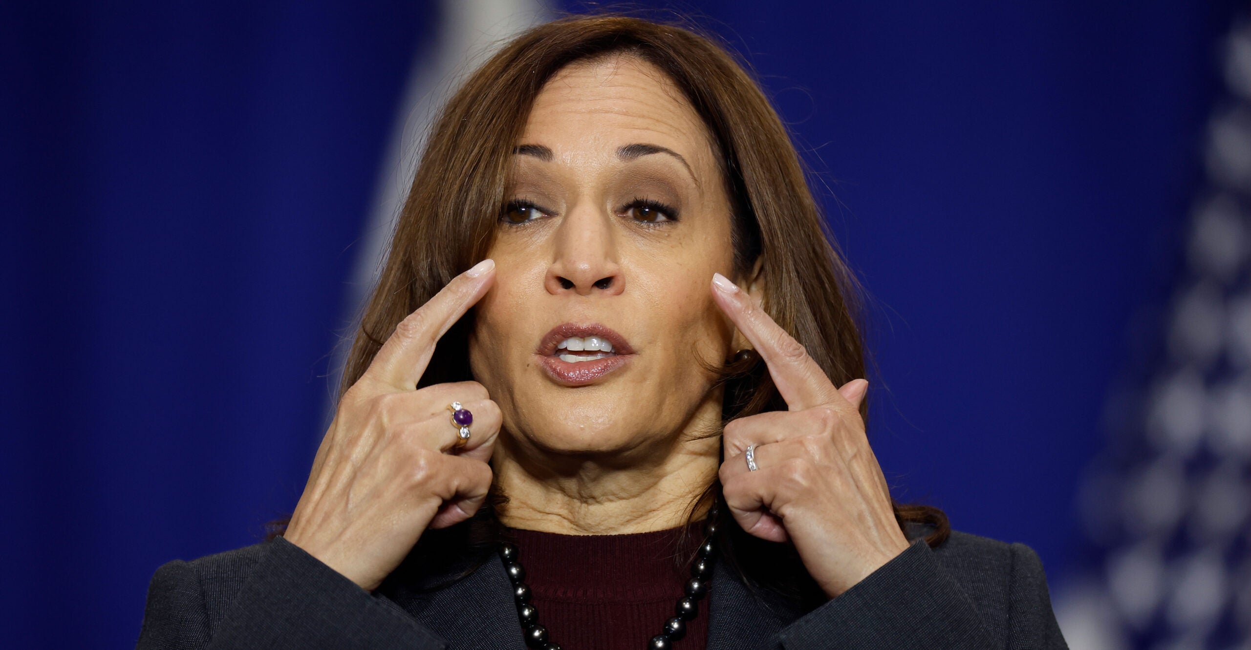 Kamala Harris' 'Biggest Failure'? Where to Begin?