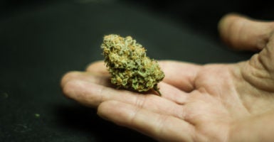 Marijuana pot pushers SAFE Banking Act