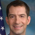 Portrait of Sen. Tom Cotton