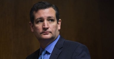 Cruz: 'Concern in Israel' (Photo: Tom Williams/CQ Roll Call)